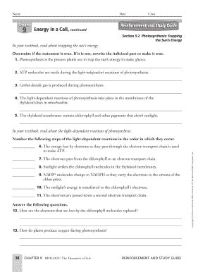 Read Online Chapter 9 Energy In A Cell Worksheet Answers 