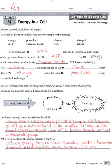 Read Online Chapter 9 Energy In A Cell Worksheet Key 