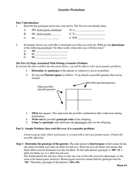 Read Chapter 9 Introduction To Genetics Worksheet Answers 
