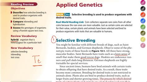Full Download Chapter13 Section1 Applied Genetics Key 