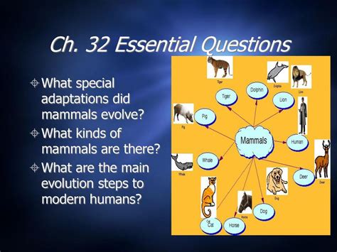 Read Online Chapter32 Mammals Section 32 2 Answer 