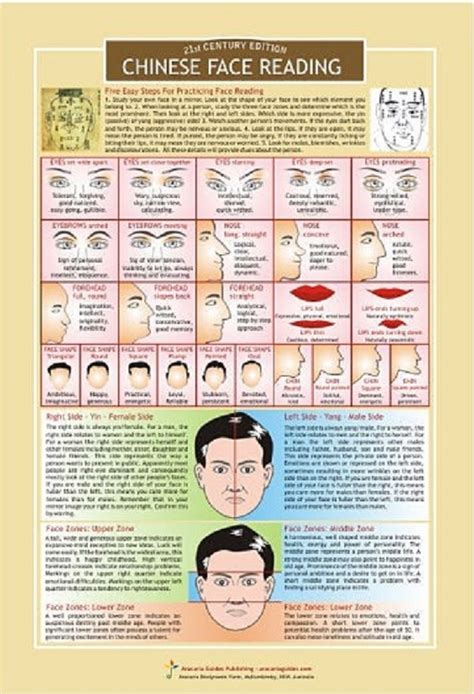 Character Reading From The Face The Science Of Physiognomy