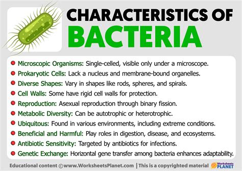characteristics of bacteria worksheet answer key