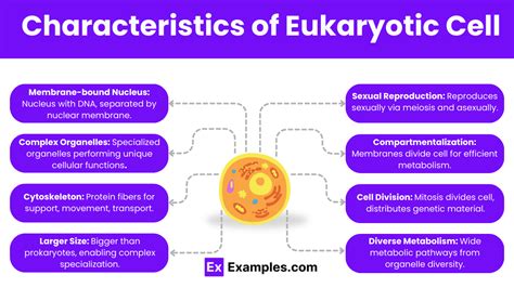 Characteristics Of Cell