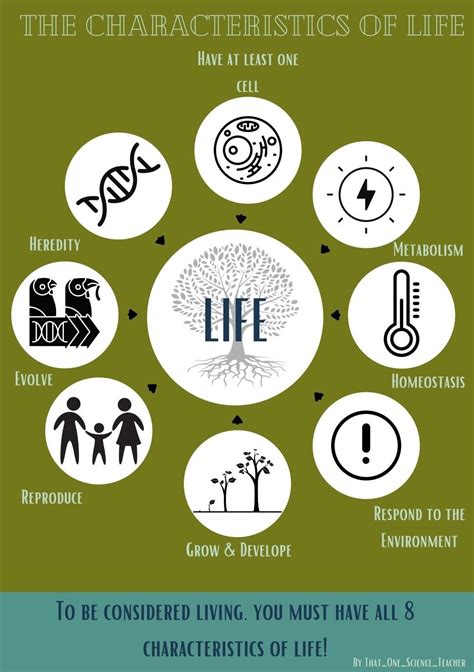 Characteristics Of Life