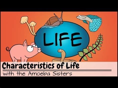 Characteristics Of Life Video Tutorials Amp Practice Problems Introduction To Biology Worksheet - Introduction To Biology Worksheet