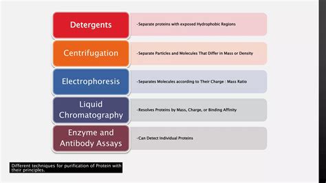 Characterization Of Proteins
