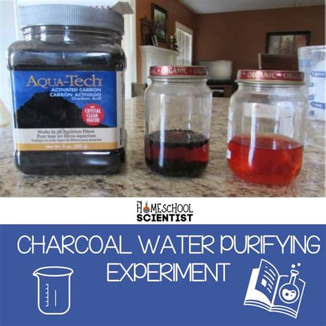 Charcoal Water Purifying Experiment The Homeschool Scientist Water Purification Science Experiment - Water Purification Science Experiment