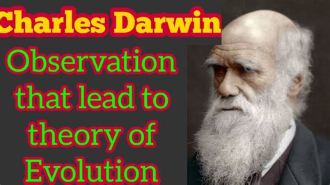 charles darwin theory of evolution youtube