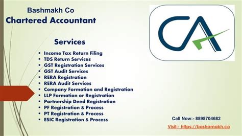 Chartered Accountant Services
