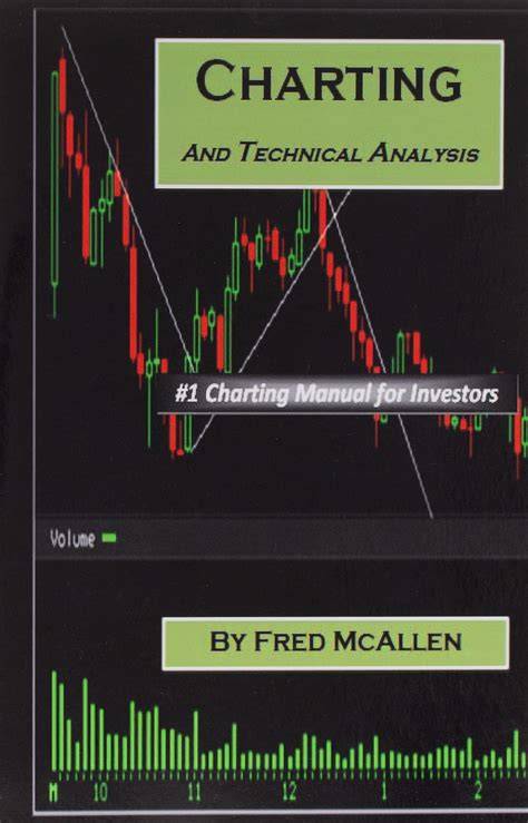charting and technical analysis english edition