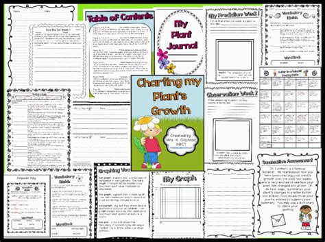 Charting My Plantu0027s Growth Unit Printable Worksheet With Plant Observation Worksheet - Plant Observation Worksheet