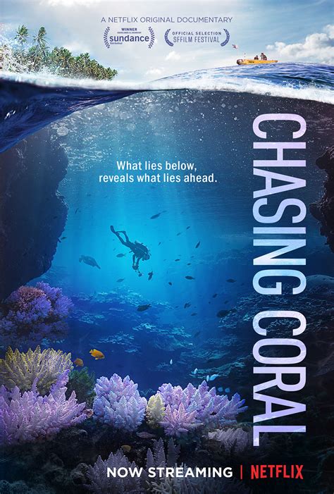 Chasing The Coral