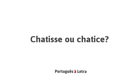 Chatisse Ou Chatice