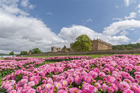 chatsworth garden show