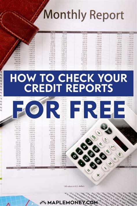 check credit report for children free shipping without