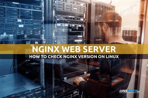 Check Nginx Version