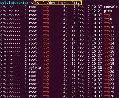 Check Tty Linux