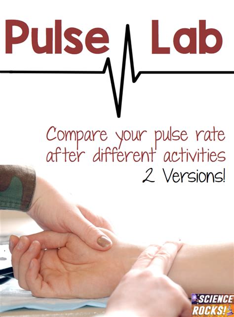 Check Your Pulse Biology Science Experiment Science Fun Heart Rate Science Experiment - Heart Rate Science Experiment