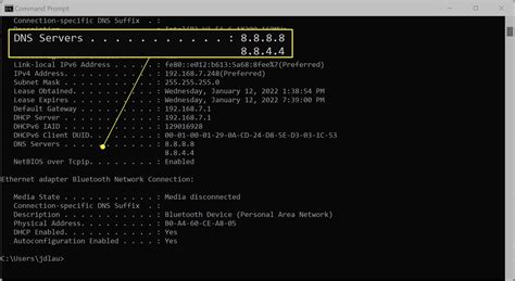 check dns