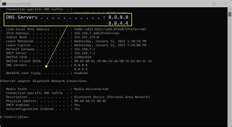 check for dns