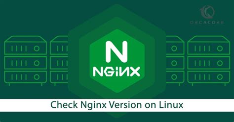 Image related to check-nginx-version