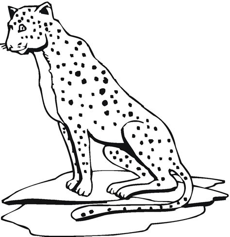 Cheetah Coloring Pages Free Printables To Download Printable Baseball Coloring Pages - Printable Baseball Coloring Pages