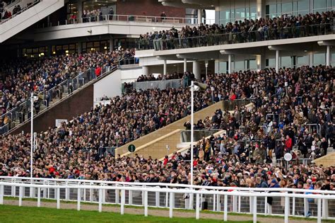 cheltenham racing new years day