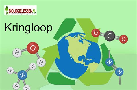 chemische processen ecosysteem