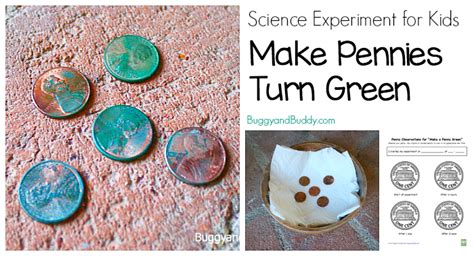 Chemistry For Kids Penny Change Experiment Bren Did Shiny Penny Science Experiment - Shiny Penny Science Experiment
