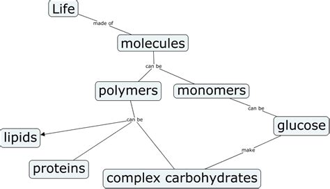chemistry of life concept map answers