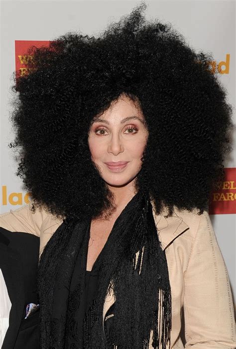 cher wig