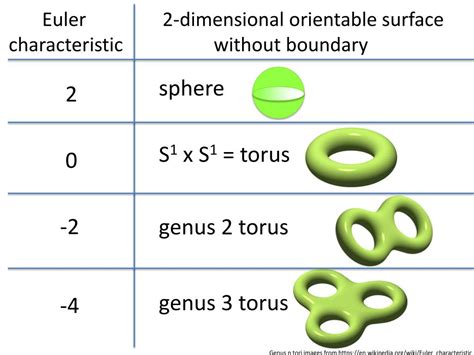 chern number euler characteristic torus
