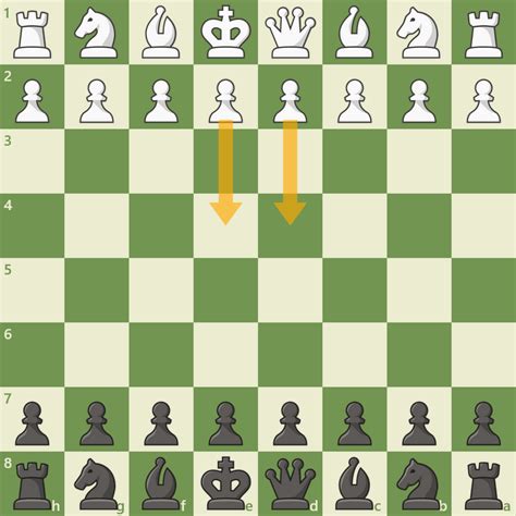 Chess Openings For Black Explained A Complete Repertoire Revised And Updated