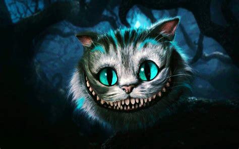 Chester The Cat