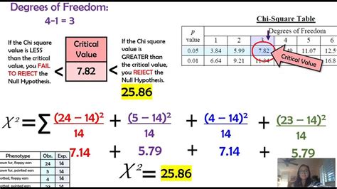 Chi Square Test Answer Key
