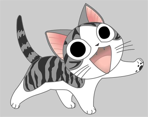Chi The Cat
