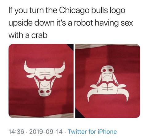 Chicago bulls crab robot