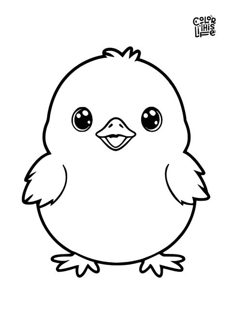 chick coloring