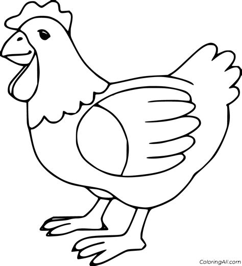 Chicken Coloring Pages Coloringall Chicken Pictures To Color - Chicken Pictures To Color