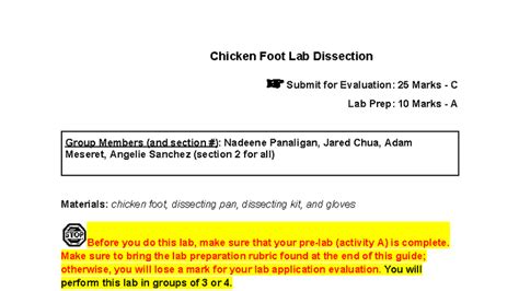 chicken foot dissection lab report