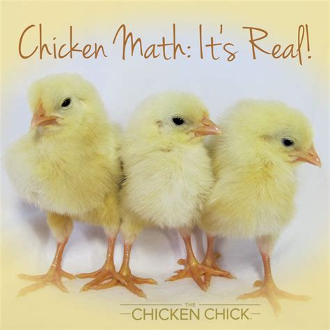 Chicken Math Carlos Cunha Chicken Math Explained - Chicken Math Explained