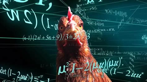 Chicken Math The Struggle Is Real Bitchinu0027 Chicken Math Explained - Chicken Math Explained