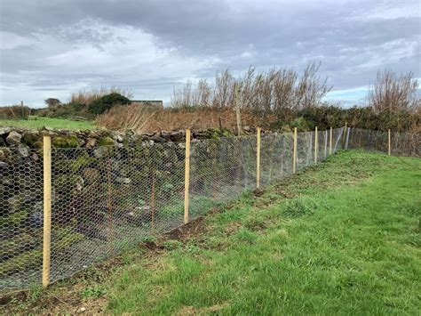 Chicken Wire Fence