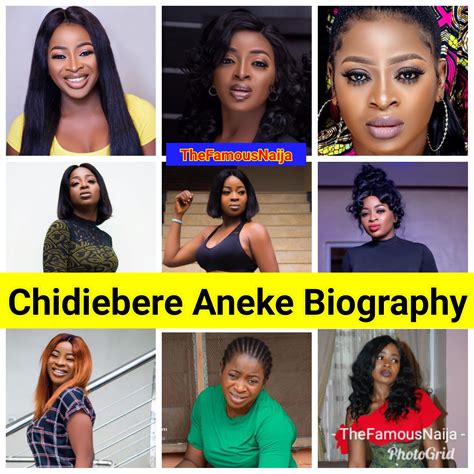 chidiebere aneke biography examples