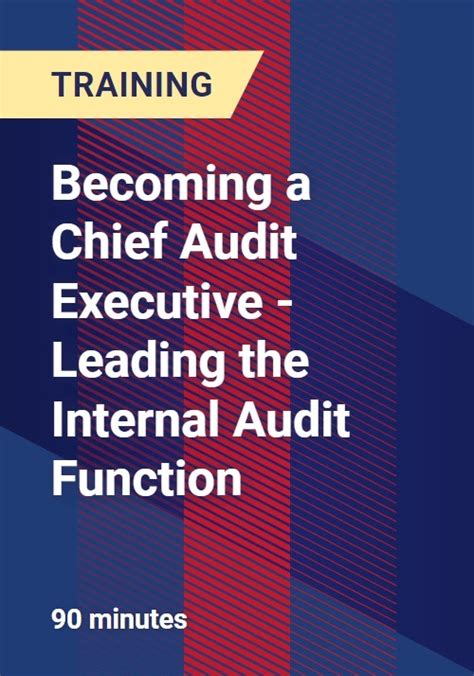 Chief Audit Executive