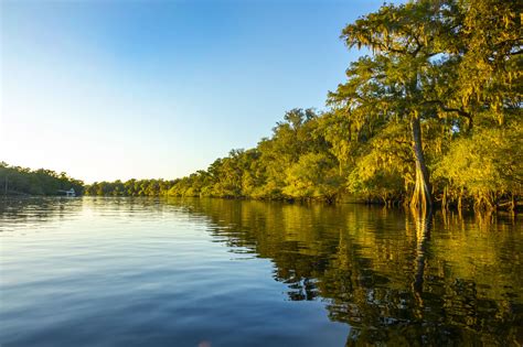 chiefland florida