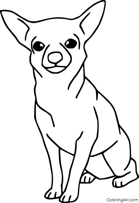Chihuahua Coloring Page Easy Drawing Guides Printable Chihuahua Coloring Pages - Printable Chihuahua Coloring Pages