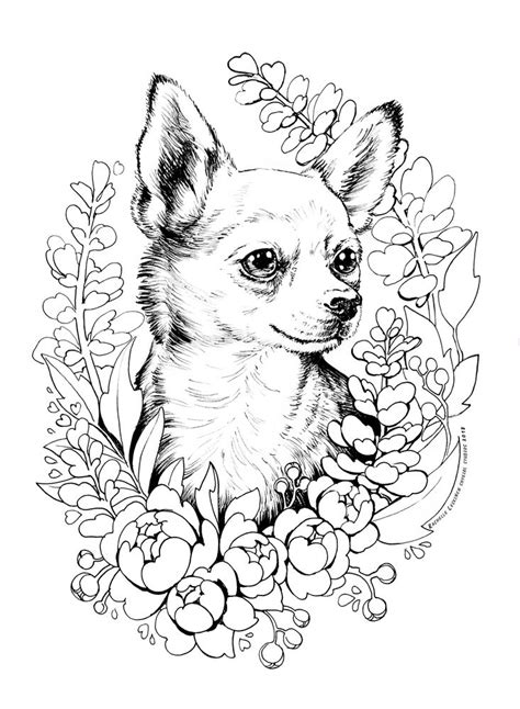 Chihuahua Dog Coloring Page Free Printable Coloring Pages Printable Chihuahua Coloring Pages - Printable Chihuahua Coloring Pages