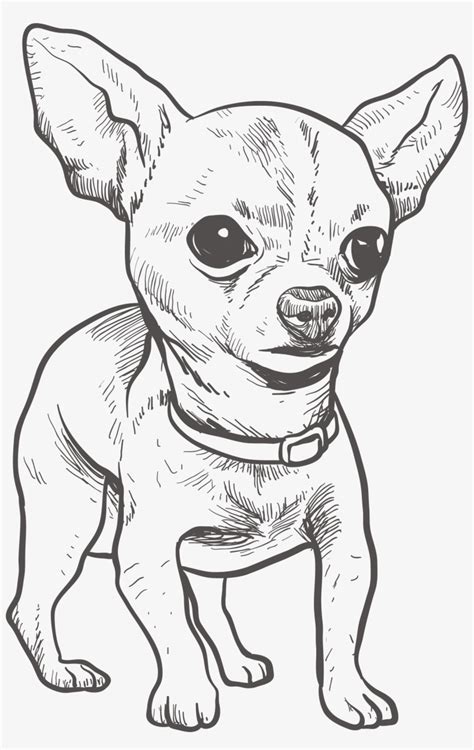Chihuahua Puppy Coloring Page Free Printable Coloring Pages Printable Chihuahua Coloring Pages - Printable Chihuahua Coloring Pages